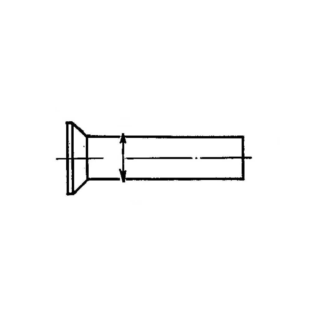 Заклепки 20ГА-ЗУ ОСТ 1 34085-80 Заклепки 20ГА-ЗУ ОСТ 1 34085-80